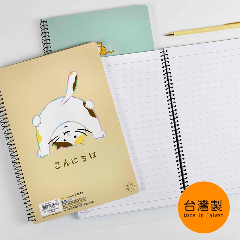 BLEU RUBANページ Amazon.com : RAYSON TBC2346-100BL-US Thermal Binding Covers